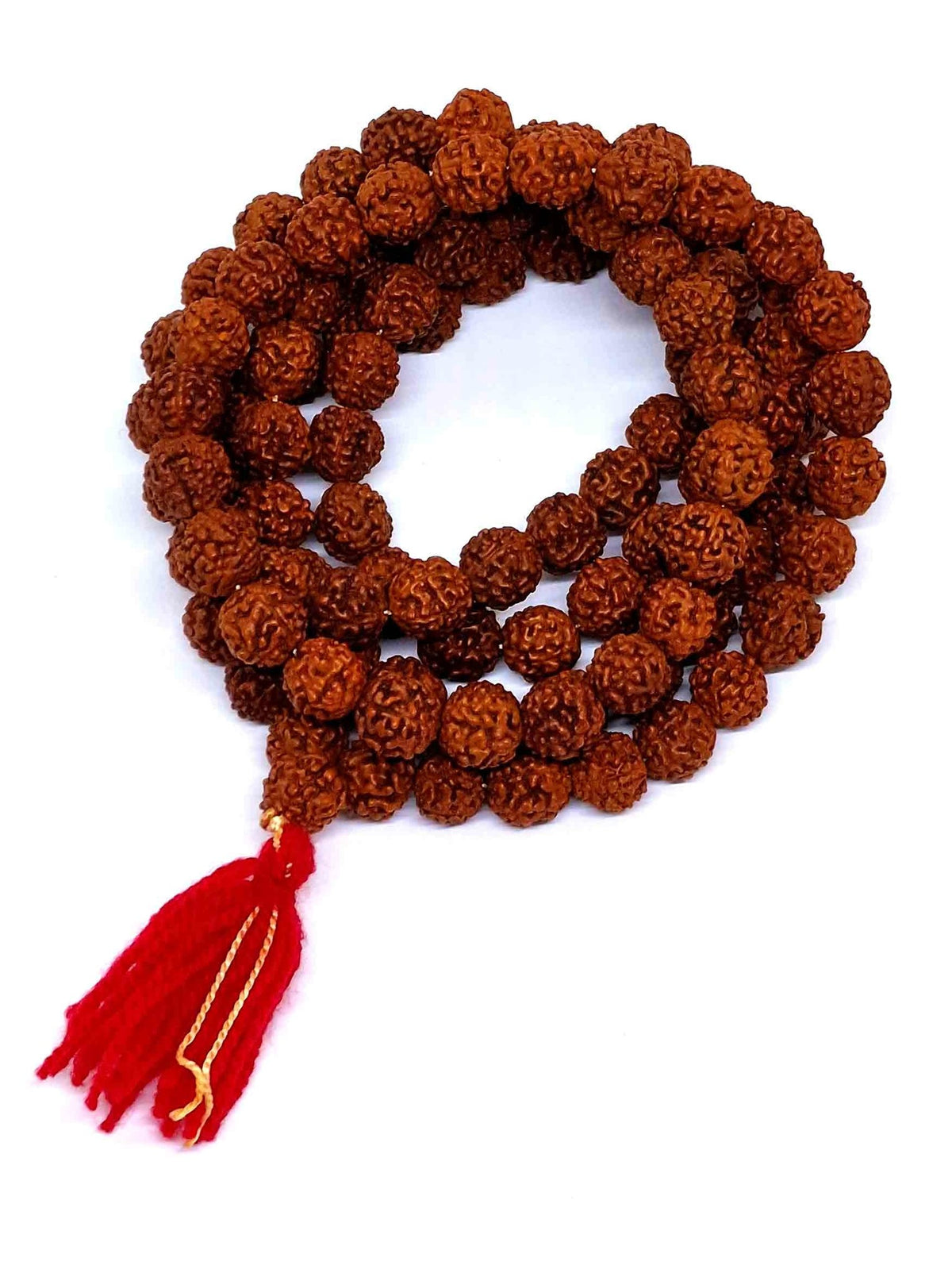 Mala tibetana Rudraksha