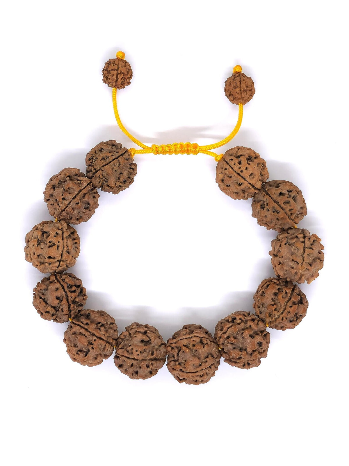 Mala Wristband 5 Mukhi Rudraksha, large, 16 mm, dark, adjustable