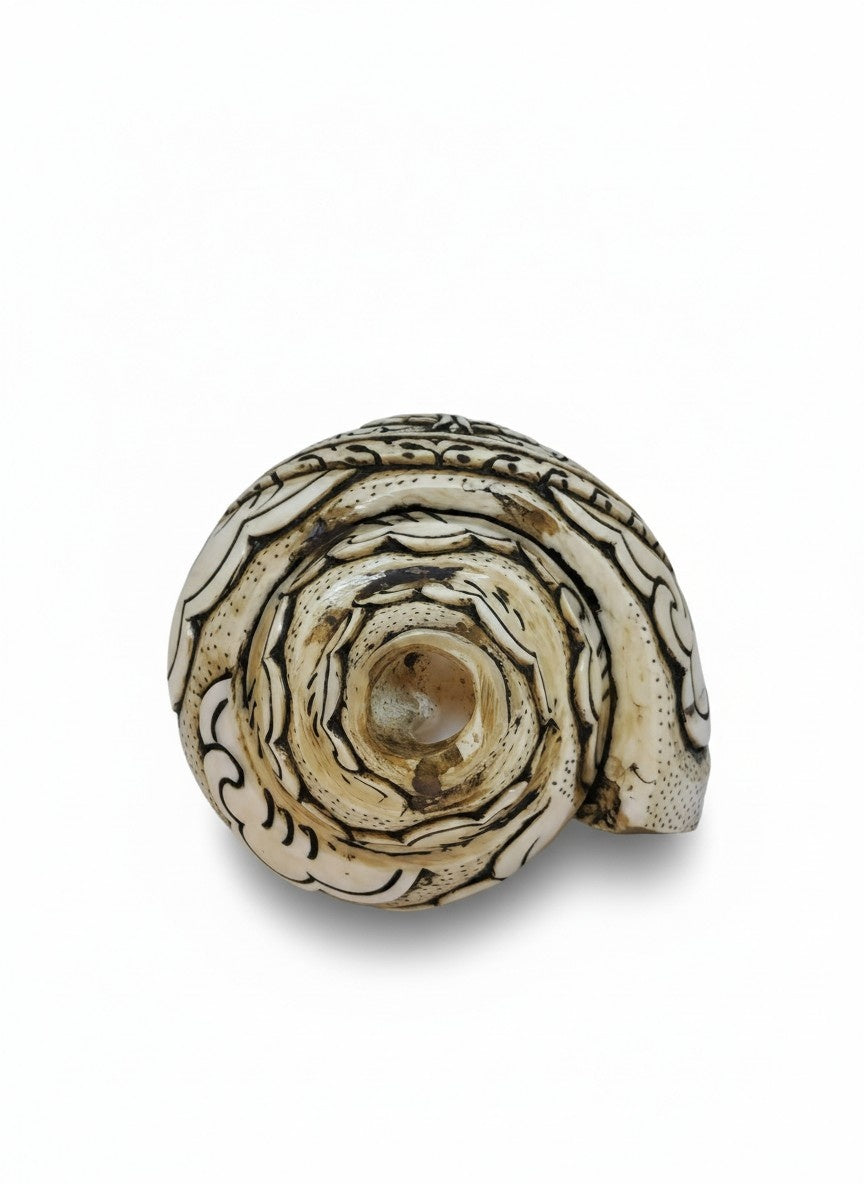 Tibetan Carved Double Dorje Conch Trumpet Dung-Kar
