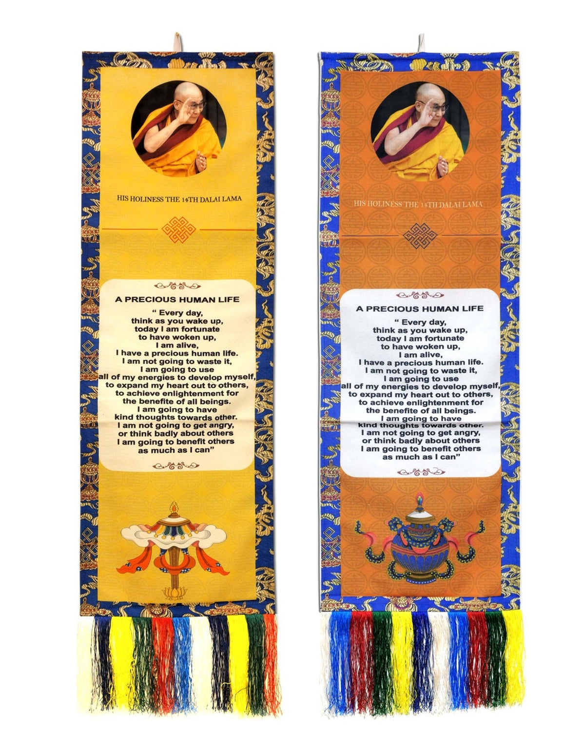 Wandbehang Dalai Lama Zitat "A Precious Human Life"